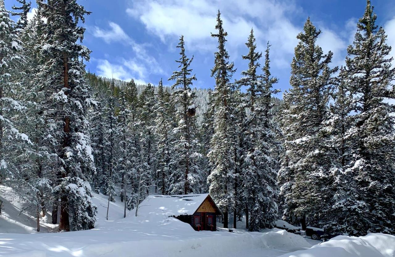 Pioneer Guest Cabins Crested Butte Exterior photo
